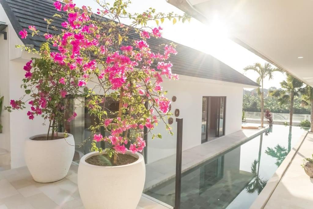 Villa Hakem Elegant And Modern 4 Bedrooms Villa Pool View Canggu  Ngoại thất bức ảnh